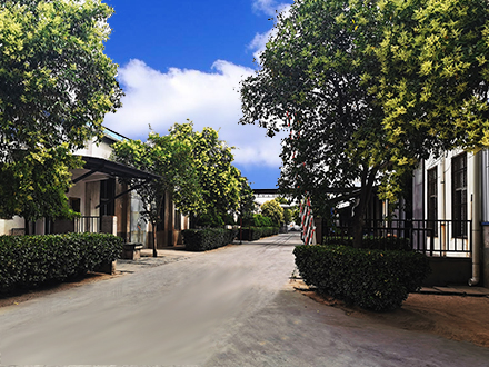 環(huán)球丁基內(nèi)胎廠區(qū)